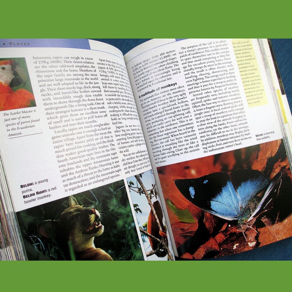 Book: Ecuador & Galapagos - Travel Guide - Picture 7 of 16